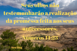 A meditação vem baseada em números 14:23