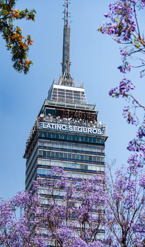 7 Investimentos Seguros que Rendem Mais que Sua Poupança 2 Illustration of 7 Investimentos Seguros que Rendem Mais que Sua Poupança