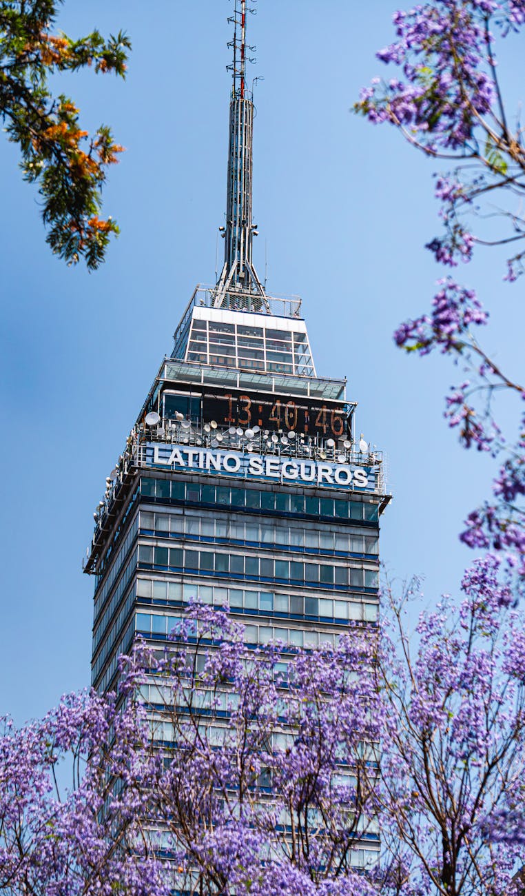 Illustration of 7 Investimentos Seguros que Rendem Mais que Sua Poupança