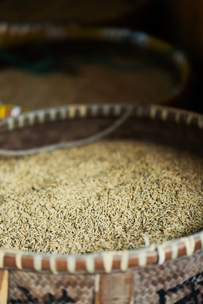 Y do crédito: entenda o yield bancário