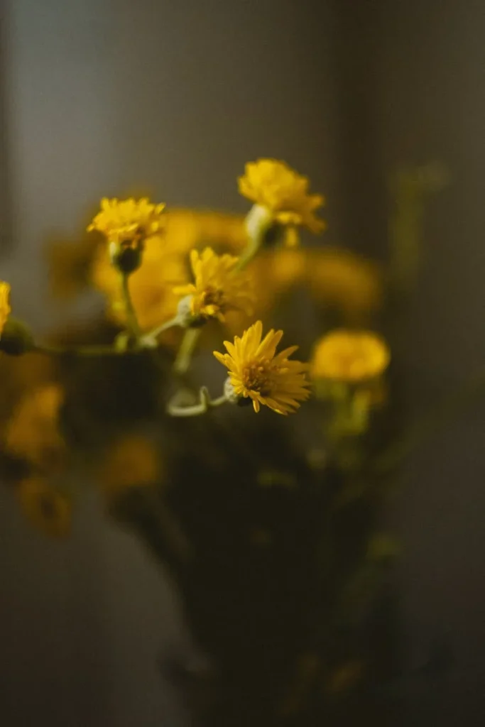 Conquiste seu cartão no acre com aprovação rápida