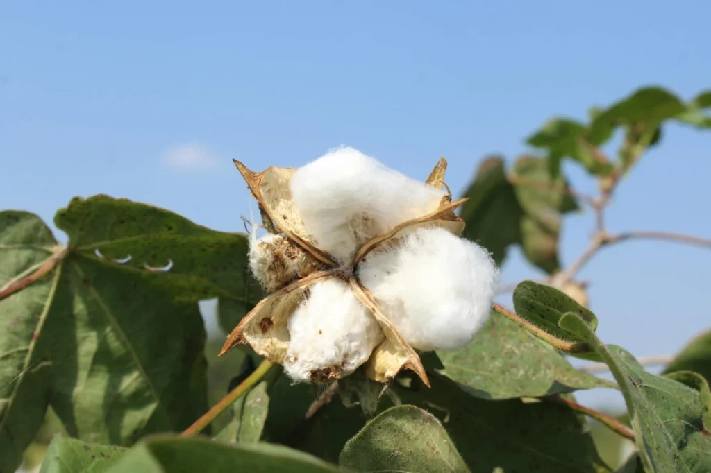 Os Segredos Dos Investidores Ricos Que Você Precisa Saber