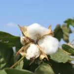 Os Segredos Dos Investidores Ricos Que Você Precisa Saber